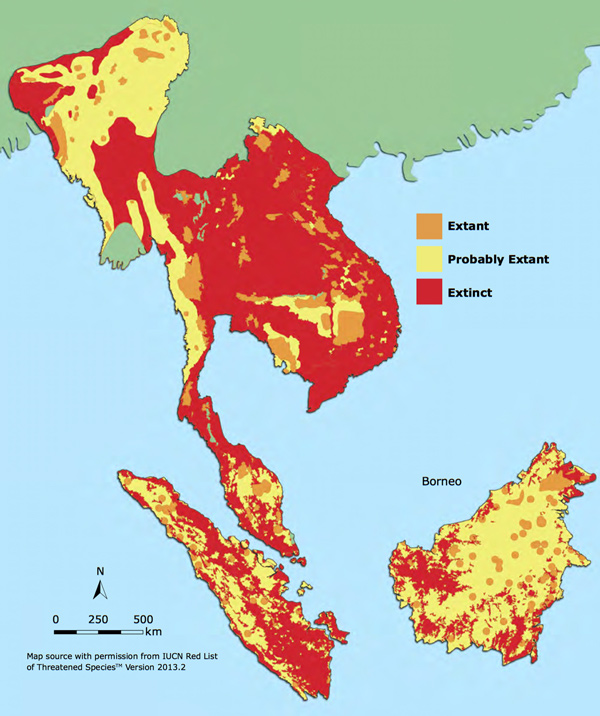 Vulneralbe Status and Distribution of Malayan Sun Bear