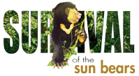 Survival of the Sun Bears